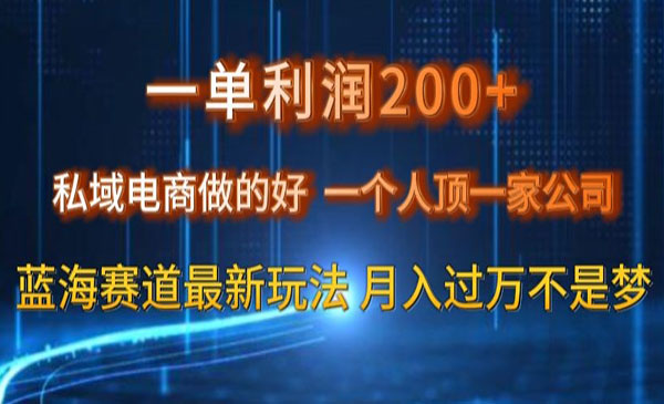 私域电商蓝海赛道-蚂蚁计划