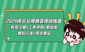 拼多多视频变现训练营-蚂蚁计划