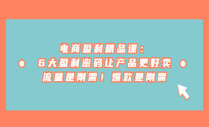 电商盈利精品课6大盈利 密码让产品更好卖，流量是刚需！爆款是刚需-蚂蚁计划