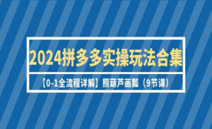 拼多多实操玩法合集-蚂蚁计划