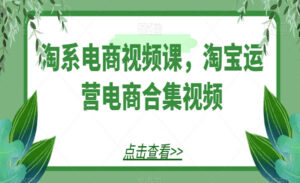 淘系电商视频课淘宝运营电商合集视频-蚂蚁计划