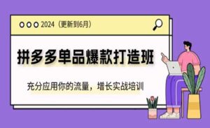 拼多多单品爆款打造班-蚂蚁计划