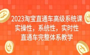 淘宝直通车高级系统课实操性，系统性，实时性，直通车完整体系教学-蚂蚁计划