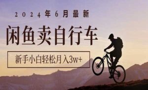 闲鱼卖自行车-蚂蚁计划