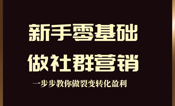 新手零基础做社群营销，一步步教你做裂变转化盈利-蚂蚁计划