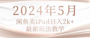 闲鱼卖ipad-蚂蚁计划