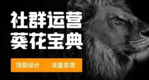 创收社群系统运营葵花宝典 顶层设计 流量变现-蚂蚁计划