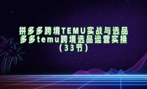 拼多多跨境TEMU实战与选品-蚂蚁计划