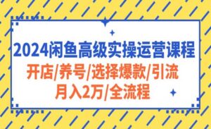 闲鱼高级实操运营-蚂蚁计划