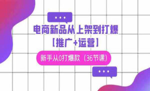 电商新手从0打爆款-蚂蚁计划