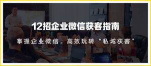 12招企业微信获客指南：链接11亿微信用户，提前把握企业新机遇-蚂蚁计划