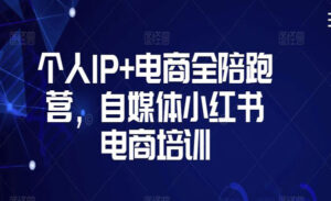个人IP+电商全陪跑营-蚂蚁计划