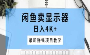 闲鱼卖显示器项目-蚂蚁计划
