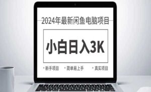 闲鱼卖电脑项目-蚂蚁计划