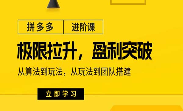 拼多多极限盈利突破-蚂蚁计划