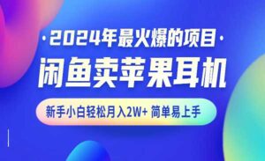 闲鱼卖苹果耳机-蚂蚁计划