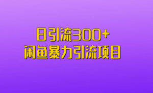 闲鱼暴力引流项目日引流-蚂蚁计划