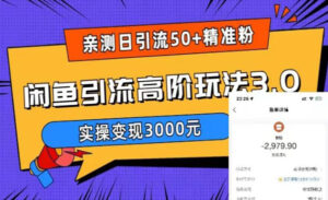 闲鱼引流高阶玩法3.0实测日引50+精准粉，实操变现3000元-蚂蚁计划