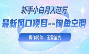 闲鱼卖空调项目-蚂蚁计划