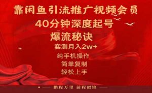 闲鱼暴力推广视频会员-蚂蚁计划