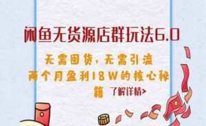 闲鱼无货源店群玩法6.0无需囤货，无需引流，两个月盈利1的核心秘籍-蚂蚁计划