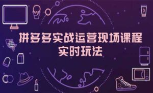 拼多多实战运营-蚂蚁计划