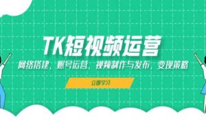 TK短视频运营-蚂蚁计划
