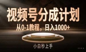 视频号分成计划-蚂蚁计划