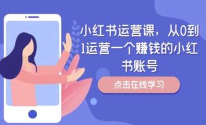 小红书赚钱运营-蚂蚁计划