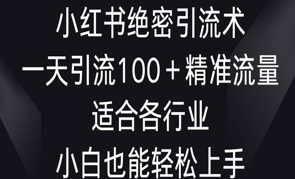 小红书绝密引流术-蚂蚁计划