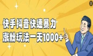 快手抖音快速暴力涨粉玩法-蚂蚁计划