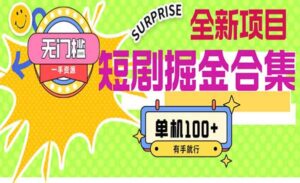 短剧掘金合集2.0-蚂蚁计划