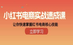 小红书电商实战速成课-蚂蚁计划