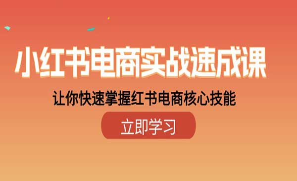 小红书电商实战速成课-蚂蚁计划
