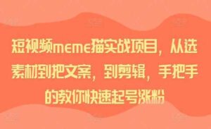 短视频meme猫实战-蚂蚁计划