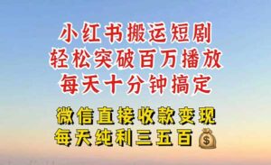 小红书搬运热门短剧-蚂蚁计划