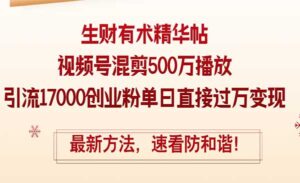 视频号混剪500万播放-蚂蚁计划