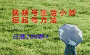 视频号生活小妙招起号-蚂蚁计划