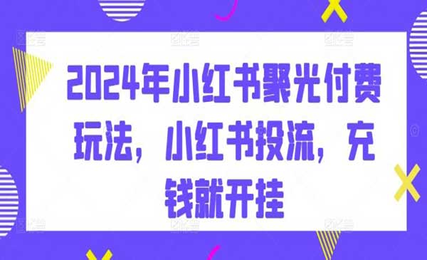 小红书聚光付费玩法-蚂蚁计划