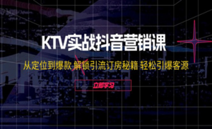KTV实战抖音营销课-蚂蚁计划