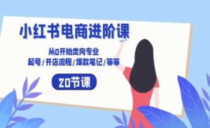 小红书电商进阶课-蚂蚁计划