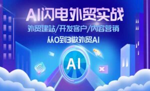 AI闪电外贸实战-蚂蚁计划