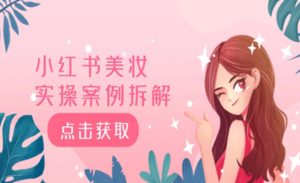 小红书美妆拆解-蚂蚁计划