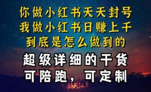 小红书流量池干货-蚂蚁计划