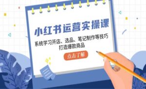 小红书运营实战-蚂蚁计划