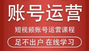 短视频账号运营课程 从话术到运营再到直播带货全流程-蚂蚁计划