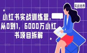 6000万小红书项目拆解-蚂蚁计划