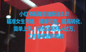 小红书私域引流玩法2.0-蚂蚁计划