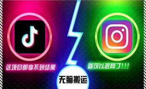 抖音无脑搬运项目-蚂蚁计划