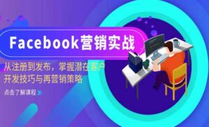 Facebook营销实战-蚂蚁计划